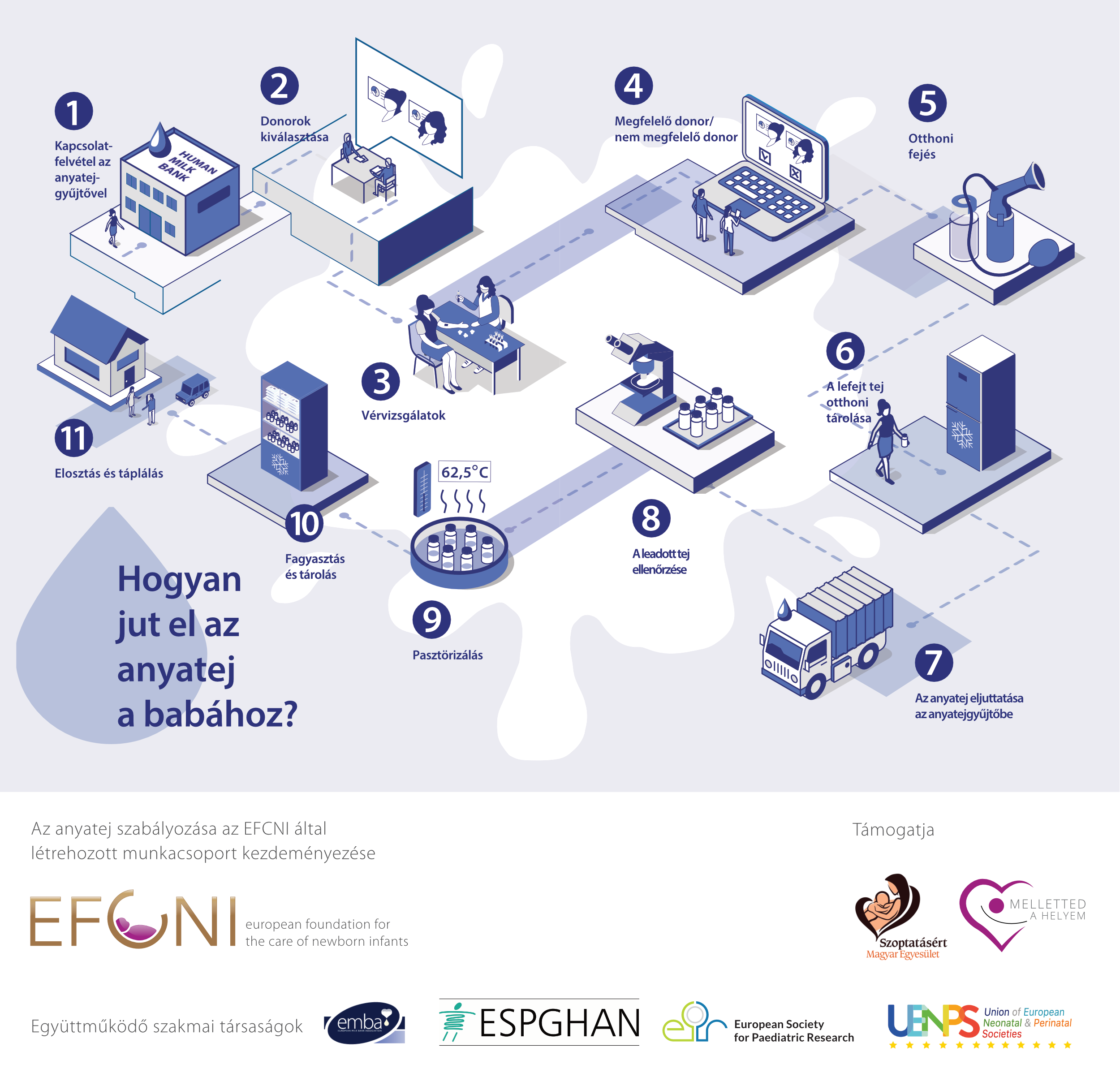 anyatej-folyamat-efcni